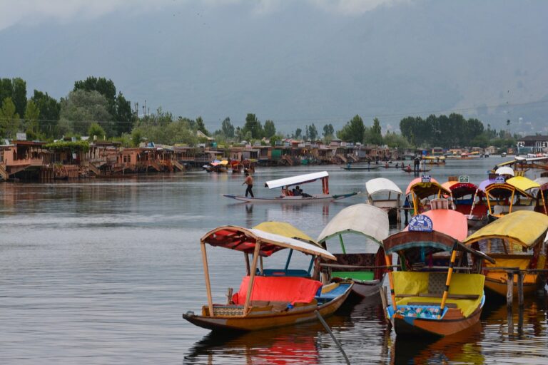 Best Kashmir Tour Packages: Explore Srinagar 1 u334-1-38