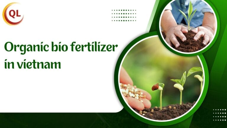 organic-bio-fertilizer-in-vietnam