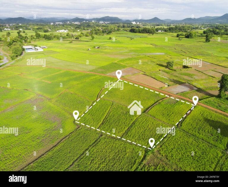 Small Plots for Sale in Aurangabad: A Reasonably Priced Investment Option 3 Residential-plot-image-2