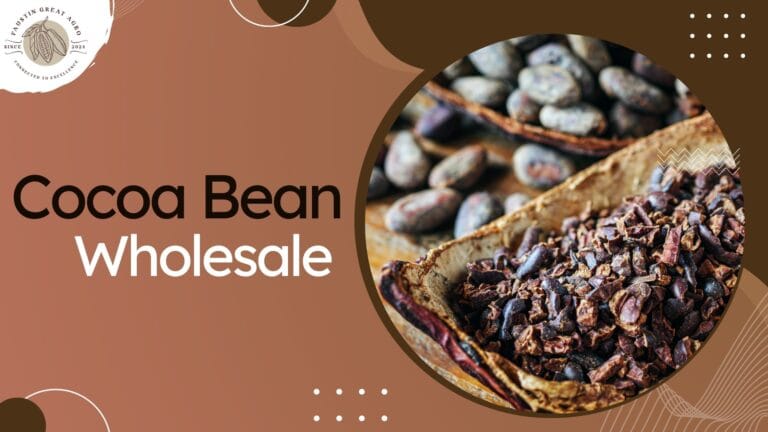 Cocoa Bean Wholesale for Large-Scale Chocolate Production 1 Cocoa-Bean-Wholesale
