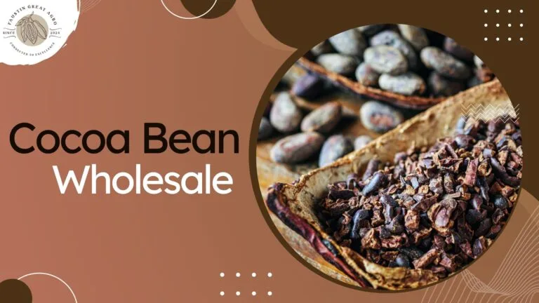 Home 10 Cocoa-Bean-Wholesale