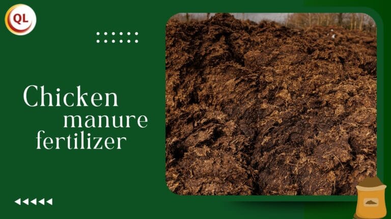 Home 3 chicken-manure-composting